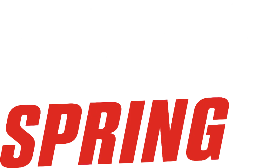 Turbo Spring